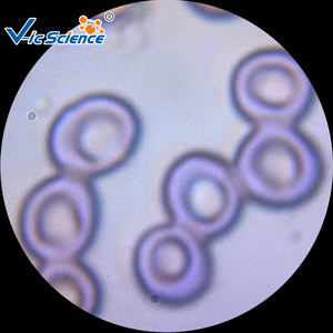 Mikroskop-Objektträger Hochwertige Hämatologie-Objektträger Blutstreifen-Objektträger - Product Image 5