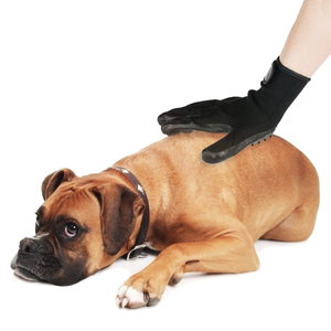 Toptan Özelleştirilmiş Sıcak Satış Çevre Dostu Pet bakım fırçası Köpek Saç Çıkarıcı Evde Beslenen Hayvan Masaj Tımar Eldiven - Product Image 6