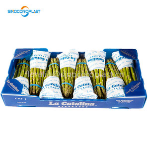 Thủy làm mát măng tây đóng gói Măng tây hộp nhựa rau đóng Gói 5kg măng tây hộp nhựa - Product Image 3