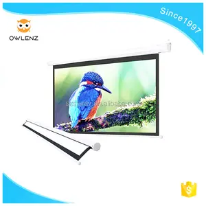 Manufacturer wholesale cheap Wall or Ceiling outdoor retractable projector screen