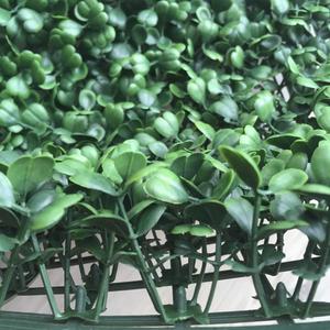 Al por mayor <span class=keywords><strong>boj</strong></span> plástico artificial plantas frente yardmat paneles para la decoración al aire libre - Product Image 4