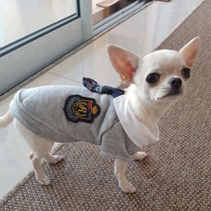 Fabriek Prijs School Stijl Britse Ontwerp Puppy Outfit Huisdier Konijn Hond Kleren Kostuum Doggie Jas Kleding - Product Image 6