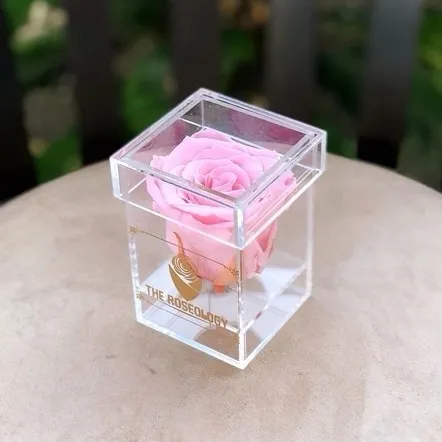 Boîte de présentation de roses conservées en acrylique transparent Petite boîte à fleurs en lucite 1 rose comme cadeau d'anniversaire cadeau d'anniversaire