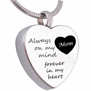 Sempre nel mio pensiero, per sempre nel mio cuore: Ciondolo urna commemorativa in acciaio inossidabile per ceneri umane o di animali domestici, gioiello commemorativo, collana. - Product Image 1