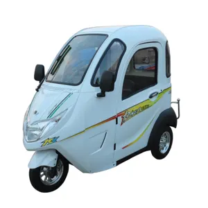 North America Electric Trike Scooter With Heater For winter Fully Closed Electric Tricycle