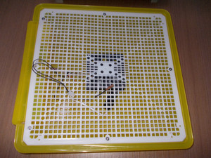 Incubadora del huevo mini precio competitivo para la venta - Product Image 3
