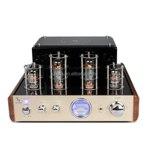 Hi-Fi Speakers 2.0 Vacuum Tube Amplifier with CD/DVD Input