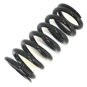 Boat trailer coil springs