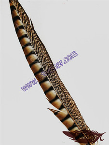 Comercio al por mayor 40-45 "Centro de Señora Amherst Pheasant Plumas de Cola Para La Venta - Product Image 3