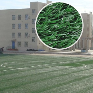 Prueba del SGS Natural recomendado hierba campo de fútbol - Product Image 2