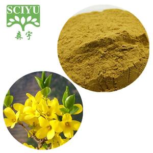 Forsythia Suspensa Fructus Extract Weeping Forsythia Extract Poeder - Product Image 2