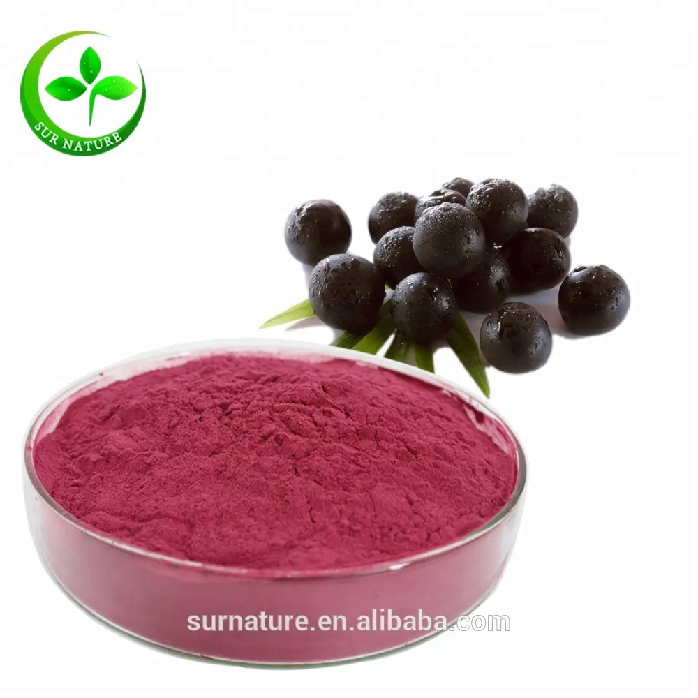 Pó secador de congelar de acai orgânico/acai berry brasileiro pó congelado