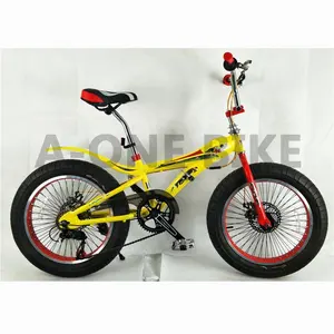 China leverancier sterke band volwassenen bmx alle soorten straat freestyle fiets