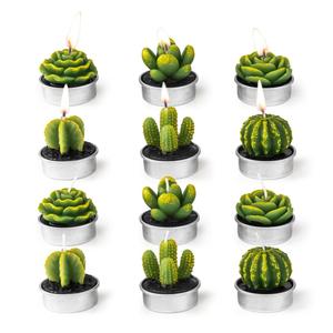 Realistico <span class=keywords><strong>mini</strong></span> bonsai piante succulente <span class=keywords><strong>cactus</strong></span> artificiale in vaso - Product Image 2