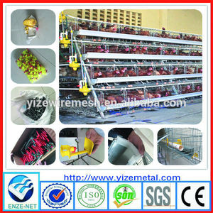 Galvanizado jaula de pollo(<span class=keywords><strong>Buana</strong></span> calidad) - Product Image 6
