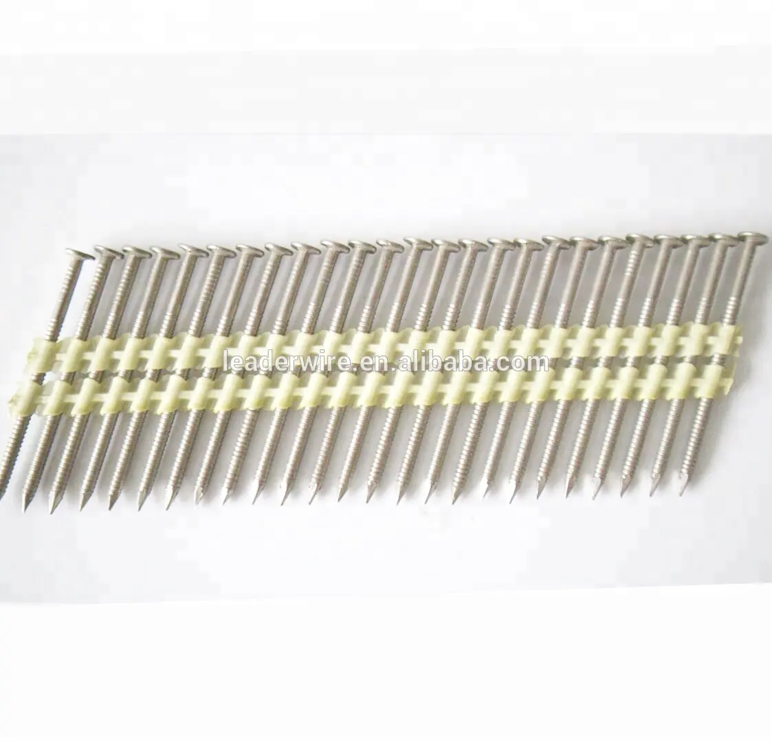 Stainless Steel 304 Plastic Strip Nails 21 Degree