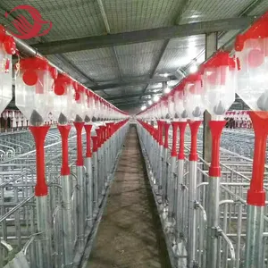 Automatic Dry Wet Feeder Plastic Pig Feeder feeding line