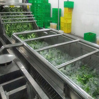Commerciële Salade Sorteren Wassen Snijden Groente Fruit Wasmachine Machine/Groente Fruit Processing Lijn