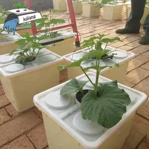 Agricultural hydroponic Planting System for Dutch Bucket With Four Holes Lid And Four Pieces Net Pot