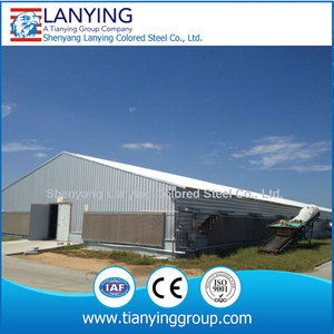 Huevo <span class=keywords><strong>de</strong></span> <span class=keywords><strong>gallina</strong></span> criar aves <span class=keywords><strong>de</strong></span> corral casa - Product Image 3