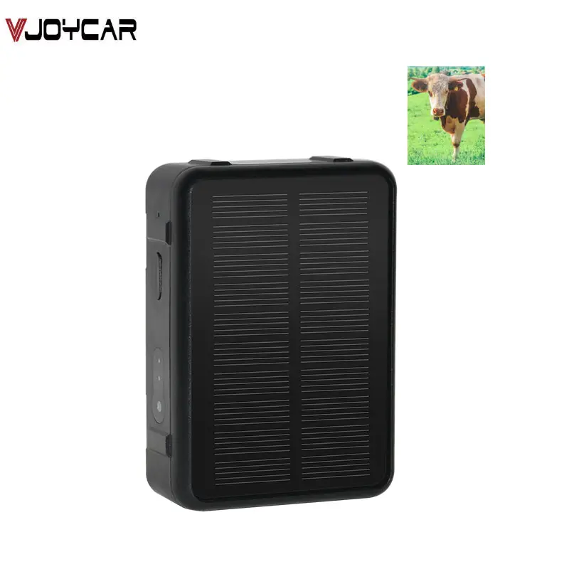 Cow Cattle Horse Camel Big animal Tracking 4G Solar Powered 4G GPS Tracker with Temperature Sensor