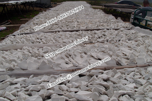 เครื่องสกัดแป้งมันสำปะหลัง/เครื่องแปรรูปแป้งมันสำปะหลัง - Product Image 6