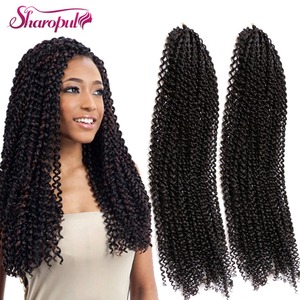 Extensión de cabello rizado Zizi Jumbo de ganchillo de 22 pulgadas, microtrenzas de 100 gramos, cabello sintético para mujer, negro con rizo Jerry - Product Image 1