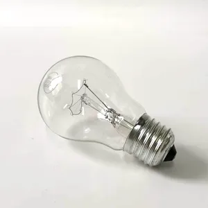 E27 B22 A55 A60 100 W 60 W frosted en clear gloeilamp