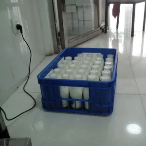 Maßgeschneiderte Lager 12 Liter Farbige Milch Box Kunststoff Kisten Weiß Mesh Container für Flasche Milch