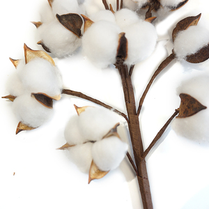Décoration de mariage à domicile, fleurs artificielles séchées en coton coloré de Chine - Product Image 1