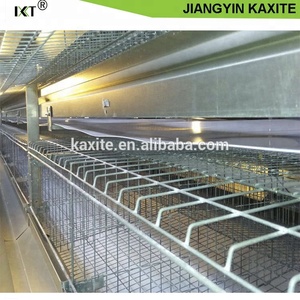 Estiércol de aves cinturón/cinta transportadora para capa/pollo/batería/conejo/jaula de pato - Product Image 5
