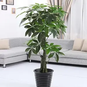 Arbre en pot artificiel pour déco de bureau, plante d'argent, bon marché, pour la décoration de bureau, 2 pièces