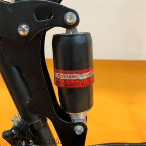 पाकिस्तान में 2018 सस्ते foldable साइकिल चक्र कीमत/<span class=keywords><strong>chainless</strong></span> तह बाइक/डाउनहिल कार्बन चीन लाल तह बाइक के लिए देवियों - Product Image 5