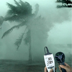 고 전 이런거에 예민한 Digital Wind 베인 풍속계 - Product Image 4