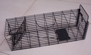 En çok satan canlı sıçan sincap tuzak kafesi s serbest kapı ile galvanizli canlı vahşi hayvanlar tuzak kafesi - Product Image 2