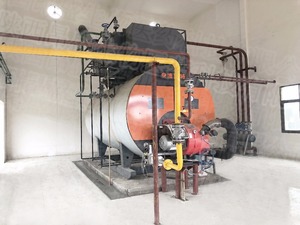 Bột Chiết Xuất Vỏ Lựu, Axit Ellagic 40% 90%, Chiết Xuất Vỏ Lựu - Product Image 3