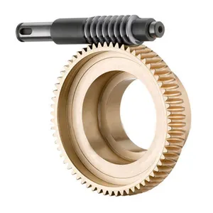 Custom-made non-standard stainless steel Worm Gear Gears and ring worm wheel
