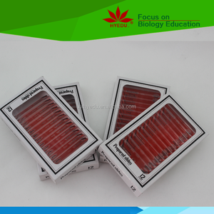 ชุดตัวอย่างแมลงสไลด์12ชิ้น,สไลด์พลาสติกเตรียมไว้สำหรับเป็นของขวัญเด็กอนุบาล - Product Image 6