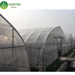 Wisemax manufacturer commercial polytunnels galvanized tubes greenhouses