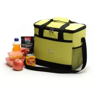 Cooler Bag Lunch Bag Green Small Insulated Branded Fronzn Lunch Cooler Bag With Zipper