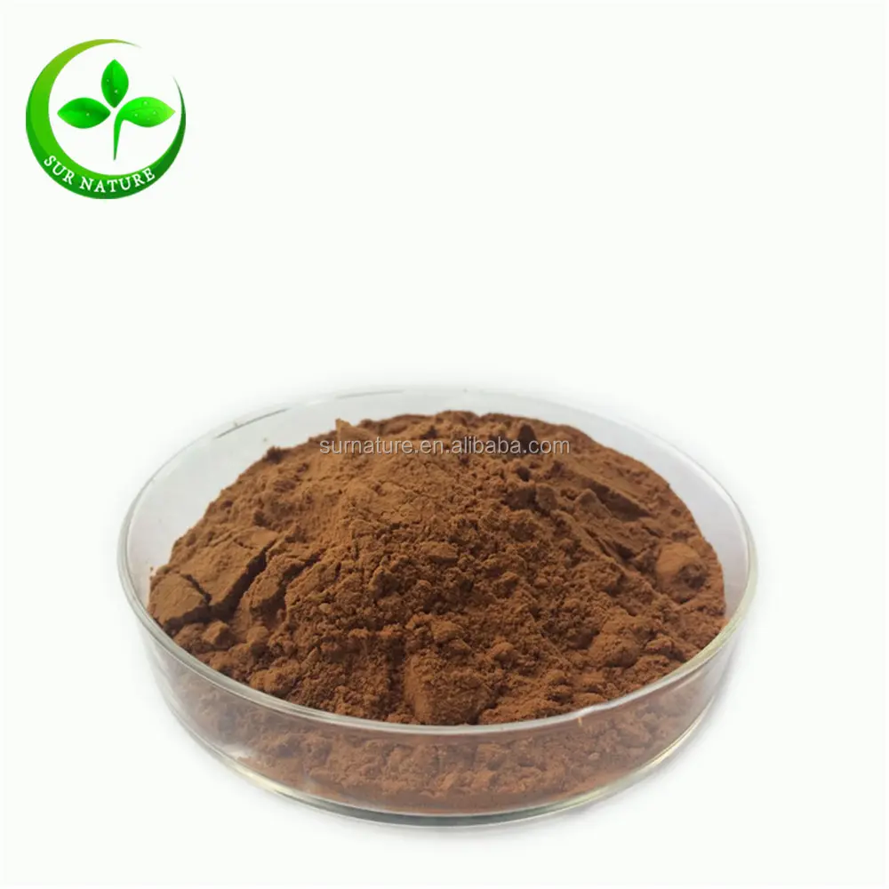 Raw material imported from Russia chaga powder, chaga mushroom extract