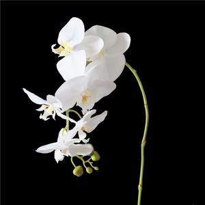 Orquídea <span class=keywords><strong>Phalaenopsis</strong></span> Artificial Súper Grande con Excelente <span class=keywords><strong>Precio</strong></span>, Orquídeas Artificiales - Product Image 6