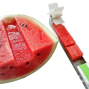 2023 Neuankömmling Heiß verkaufendes Küchen zubehör Wassermelone schneider, Wassermelone schneider Edelstahl