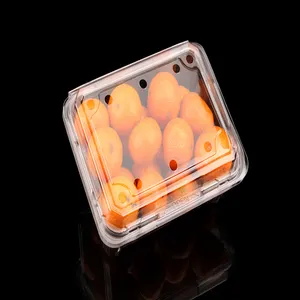 Blister Packaging Clear 175x135x75mm Plastic Clamshell Food Containers For Blueberry Cherry Strawberry Fruit BOX