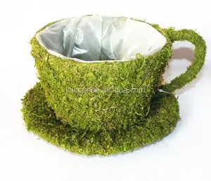 Moss kahve fincanı çiçek saksıları