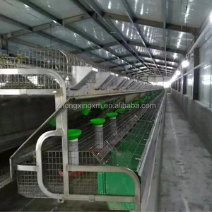 <span class=keywords><strong>Cage</strong></span> à lapin automatique, <span class=keywords><strong>cage</strong></span> commerciale, vente en gros, 9 pièces