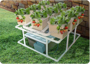 Riego por goteo sistema hidropónico cubo holandés para la fresa - Product Image 1