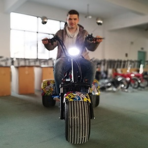 Scooter Electric 3 Wheels Electric Scooter <strong>City</strong> <strong>Coco</strong> 800w <strong>1000w</strong> Seev Citycoco 2000w Electric Scooter with Fat Bike Tire - Product Image 4