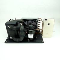 FS hvac mini système de refroidissement r290 12v 24v 400w micro refroidisseur d'eau