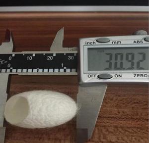 Pabrik Label pribadi sutra putih potong jenis Cocoon sutra mentah kepompong Silkworm Cocoon untuk perawatan kulit - Product Image 5